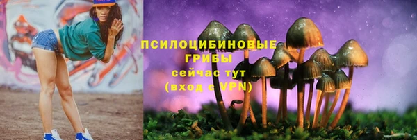 альфа пвп Шарыпово